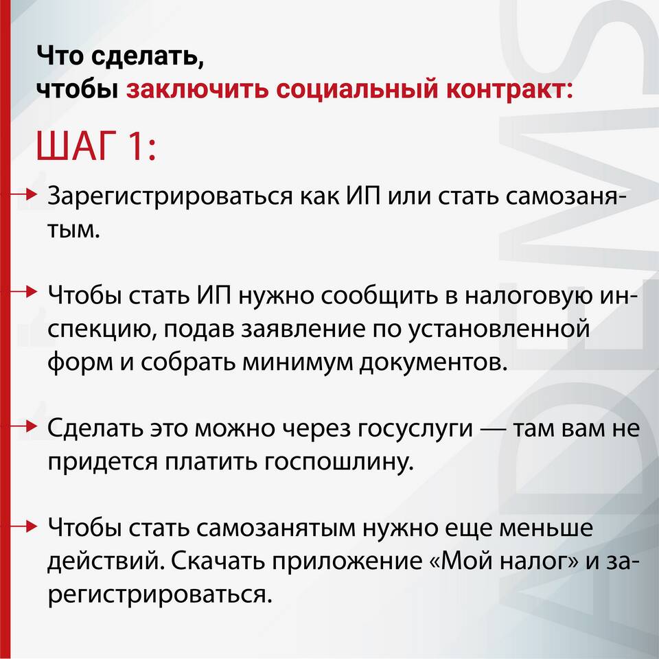 Что относится к социальным выплатам в России