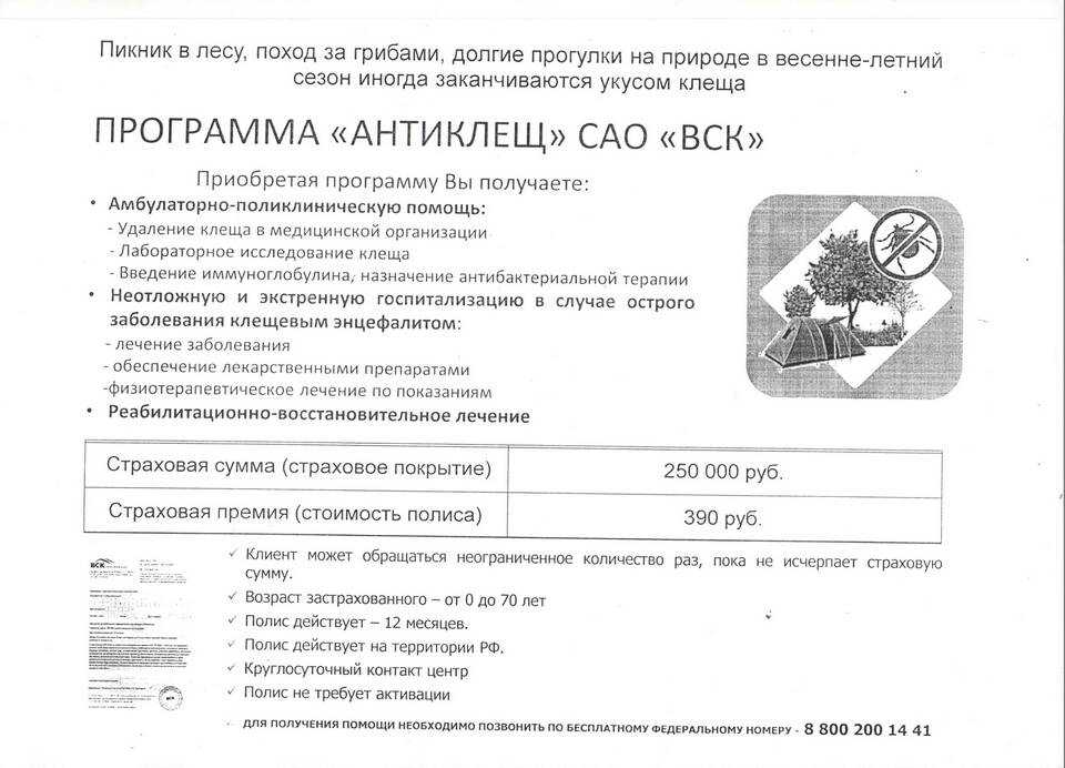 Что включает в себя страховка от клеща