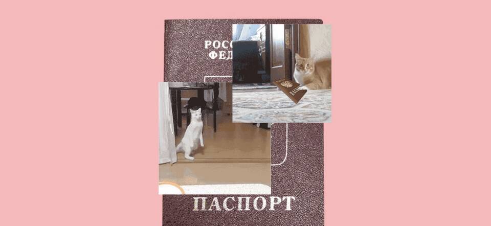 Как можно потерять паспорт