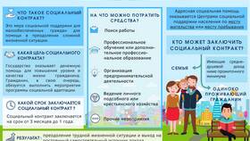 Что относится к социальной поддержке в Вианор
