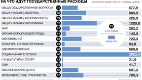 Что входит в доходы государства в Вианор