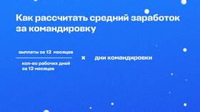 Что включается в командировочные расходы в Вианор