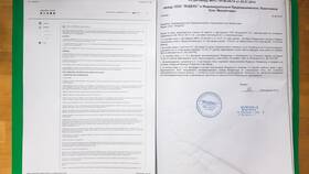 Для чего используют первичные документы в Вианор