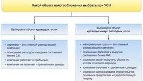 Доходы минус расходы или доходы: что выгоднее в Вианор