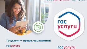 Как оформить адресную помощь через Госуслуги в Вианор