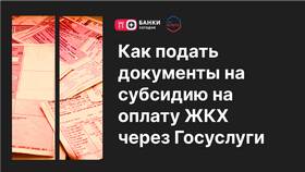 Как оформить гражданство новорожденному через Госуслуги в Вианор