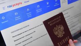 Как оформить приглашение для иностранца через Госуслуги в Вианор