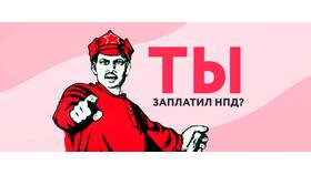 Как оплатить налог по декларации в Вианор