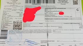 Как оплатить наложенный платеж в СДЭК в Вианор