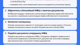 Как переоформить земельный участок на жену в Вианор