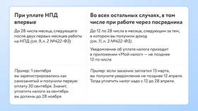 Как платить налоги самозанятому при работе с Яндекс в Вианор