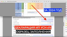 Как подать декларацию УСН за 2024 год в Вианор