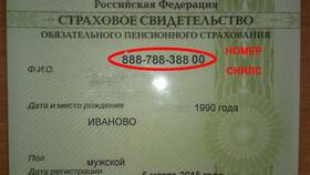 Как подать заявление на получение СНИЛС онлайн в Вианор