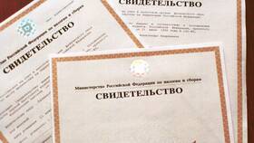 Как получить ИНН в электронном виде в Вианор