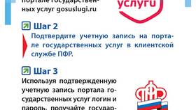 Как получить выписку из ЕГИССО через Госуслуги в Вианор