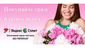 Как позвонить в службу поддержки Яндекс Сплит в Вианор