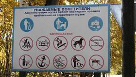 Как правильно соблюдать запреты: практическое руководство в Вианор