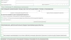Как правильно выбрать страховку в Вианор