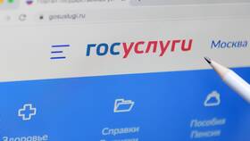 Как проверить паспорт через Госуслуги в Вианор