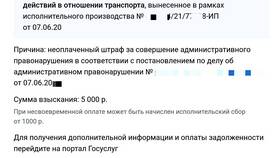 Как проверить снят ли арест с автомобиля в Вианор