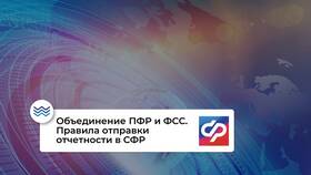 Как узнать отделение СФР (ранее УПФР) по ИНН в Вианор