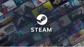 Как вывести деньги с платформы Steam в Вианор