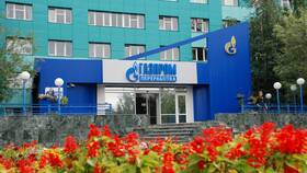 Почему Газпром распродает активы в Вианор