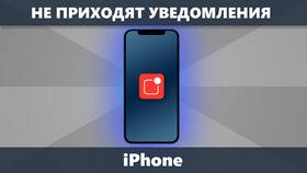 Почему не приходят звуковые уведомления WhatsApp в Вианор