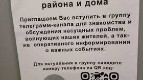 Почему телефон не распознает QR-код: причины и решения в Вианор