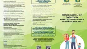 Причины отсутствия социальных выплат в Вианор