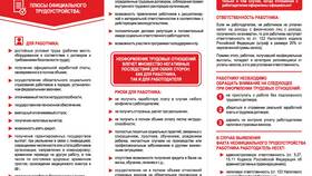 Принципы работы официальной заработной платы в Вианор