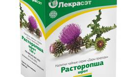 Расторопша: инструкция по применению и показания в Вианор