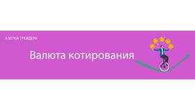 Терминология стоимости валют в Вианор