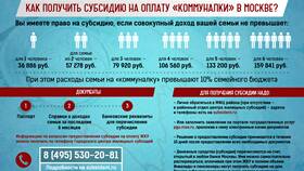 За что платят субсидию: виды и условия получения в Вианор