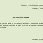 Причина увольнения в заявлении: что писать