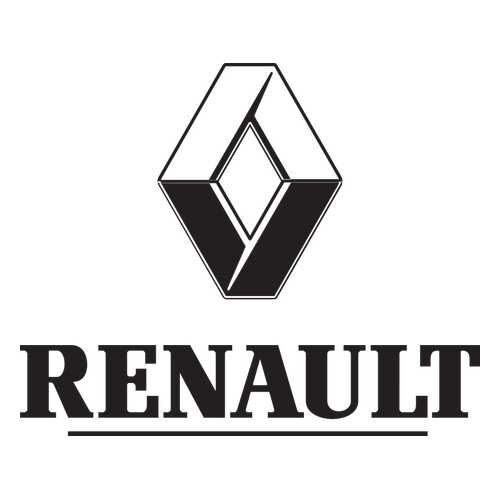Боковое зеркало заднего вида RENAULT 963010497R в Вианор