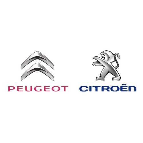Кольцо Peugeot-Citroen 31340 в Вианор