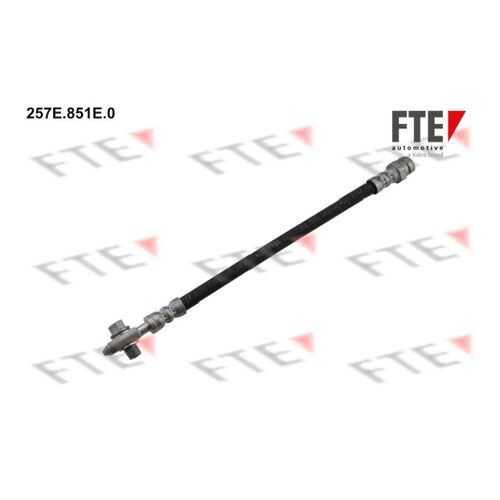 Шланг тормозной системы FTE 257E.851E.0 в Вианор